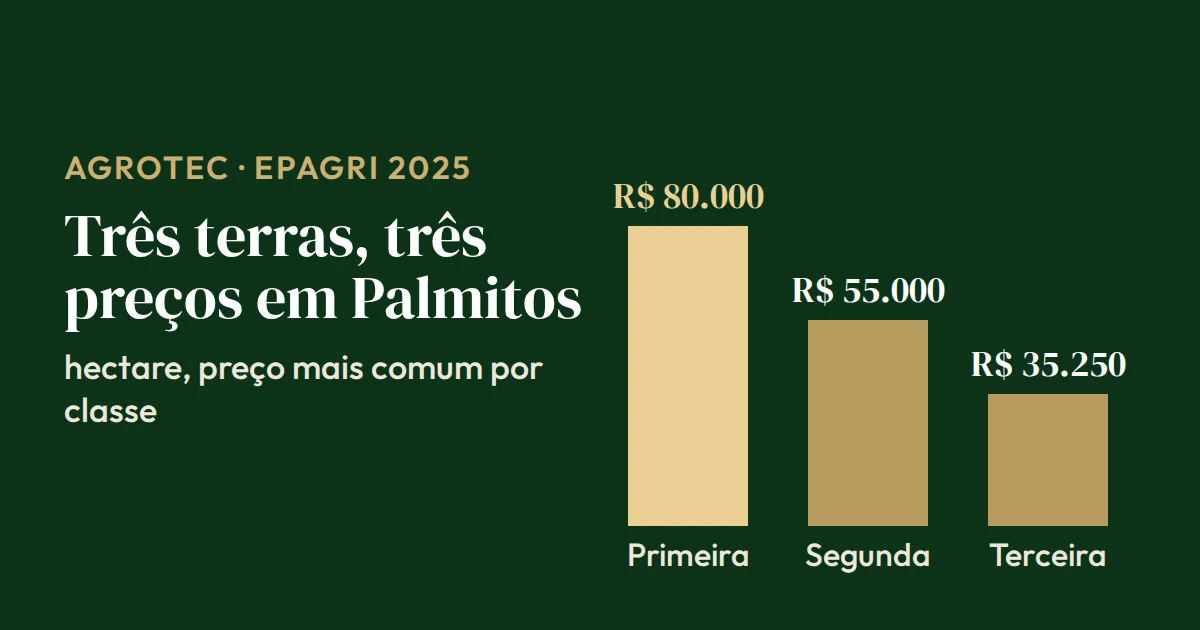 Gráfico de barras do hectare em Palmitos (SC) por classe de terra: primeira R$ 80.000, segunda R$ 55.000 e terceira R$ 35.250 (Epagri, 2025)