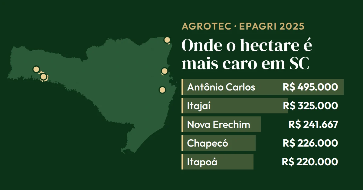 Gráfico de barras sobre o mapa de Santa Catarina com os 5 municípios de hectare mais caro, de Antônio Carlos, R$ 495.000, a Itapoá, R$ 220.000 (Epagri, 2025)