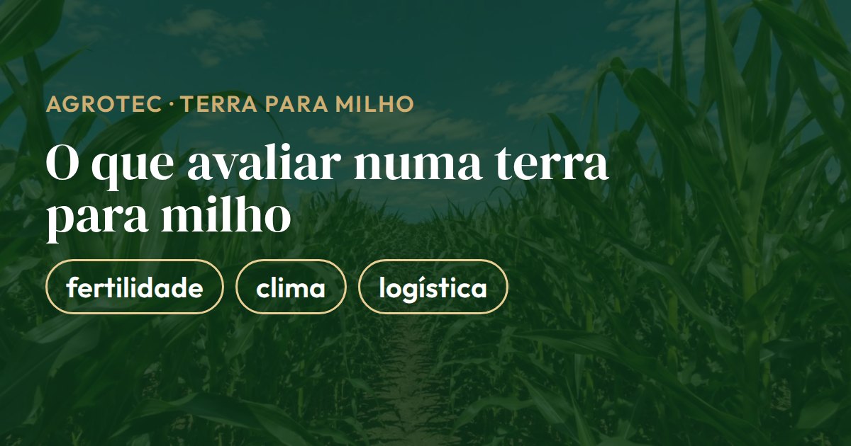 Cartão com o que avaliar numa terra para plantar milho: fertilidade do solo, clima da região e logística até o comprador