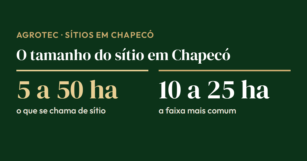 Cartão com o tamanho dos sítios em Chapecó: costumam ter entre 5 e 50 hectares, e a maior parte fica na faixa de 10 a 25 hectares