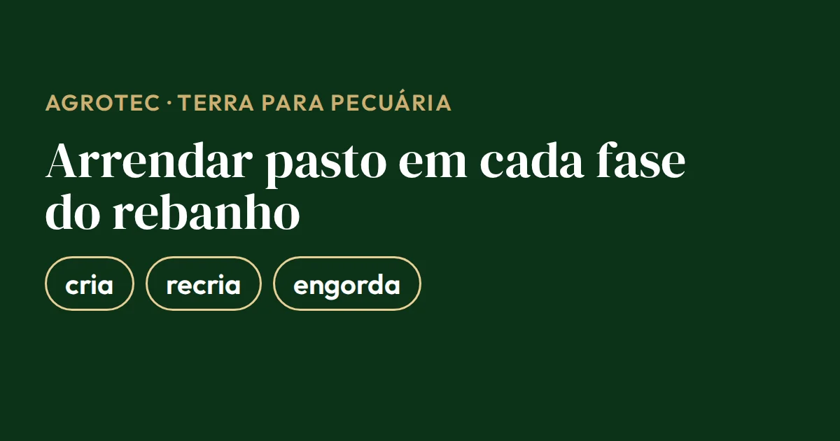 Cartão com as fases do rebanho em que arrendar pasto ajusta a área: cria, recria e engorda