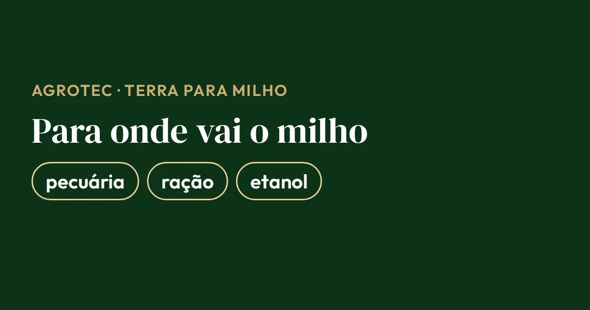 Cartão com os destinos do milho que sustentam a procura por terra: pecuária, produção de ração e etanol