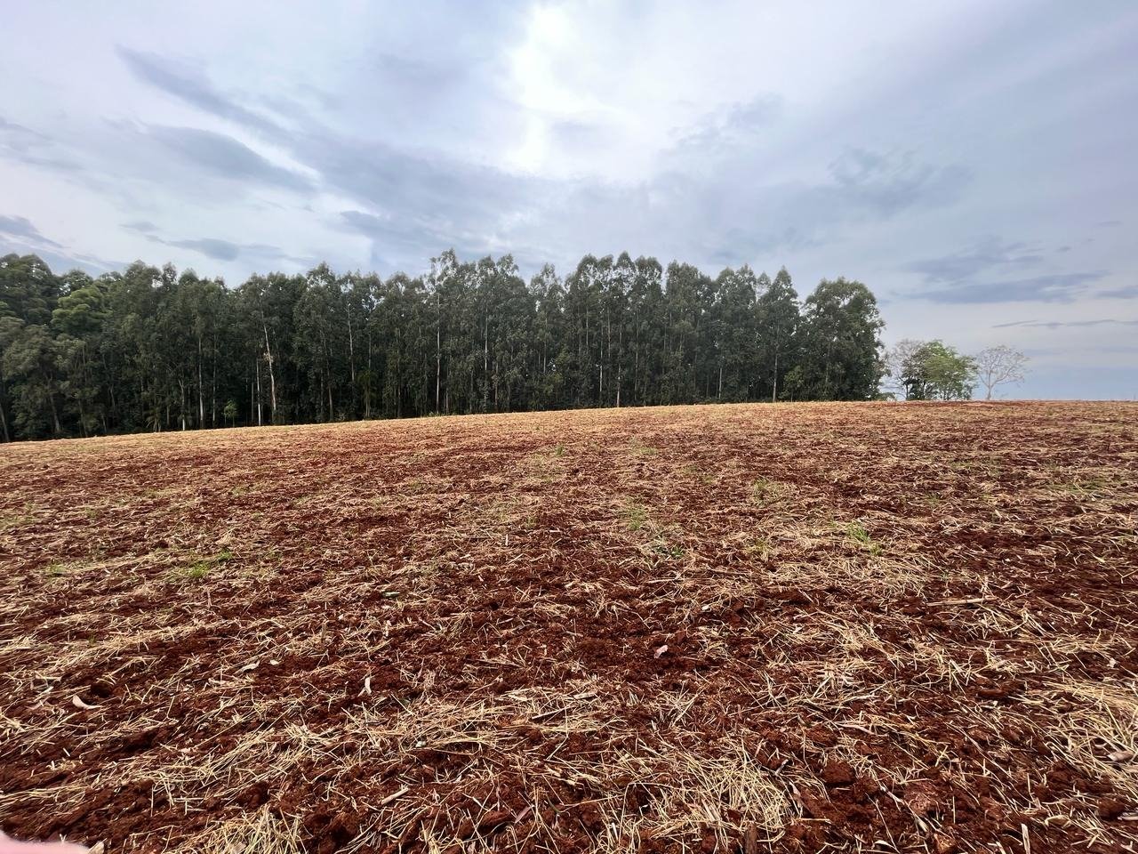 Chácara Zandavale 31.897 m² à venda em Chapecó SC com aceite de permuta